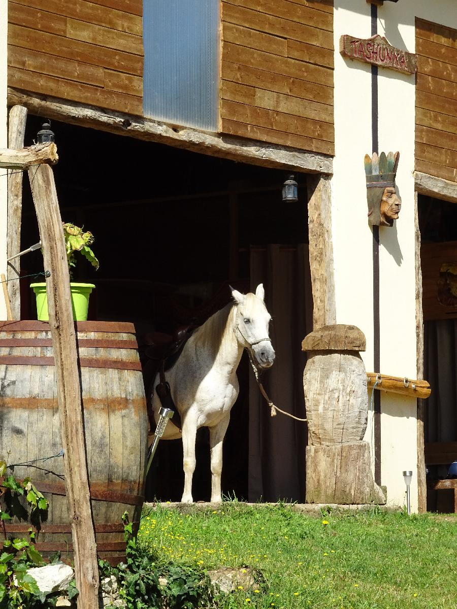 Gite equestre cheval Lacropte en Dordogne  photo 4