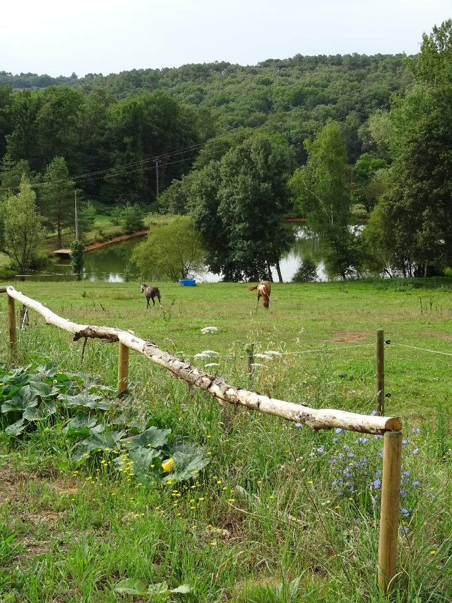 Gite equestre cheval Lacropte en Dordogne  photo 6