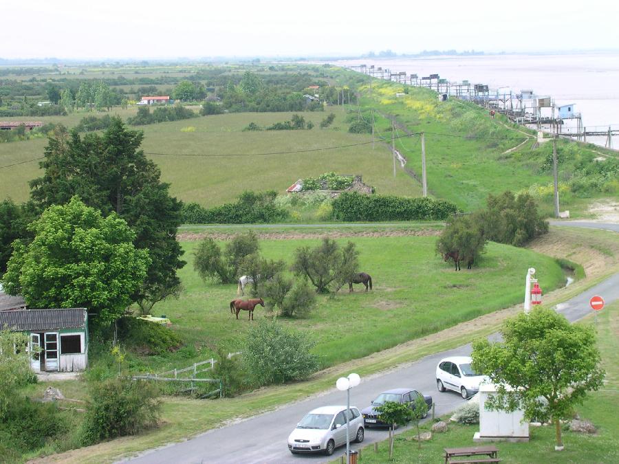 Gite equestre cheval Saint-Vivien-de-Médoc en Gironde  photo 3