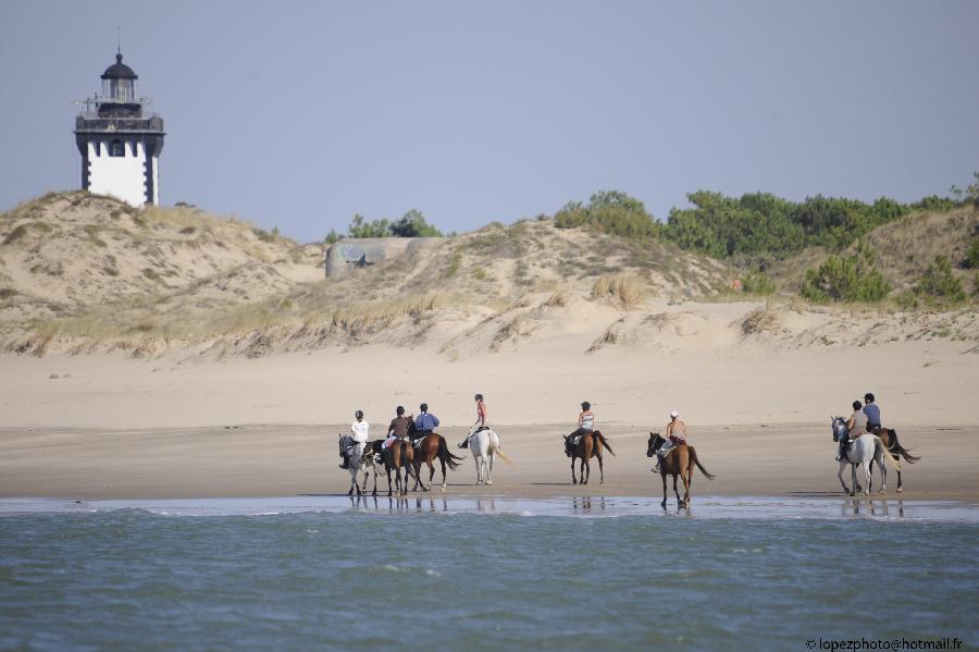 Gite equestre cheval Saint-Vivien-de-Médoc en Gironde  photo 5