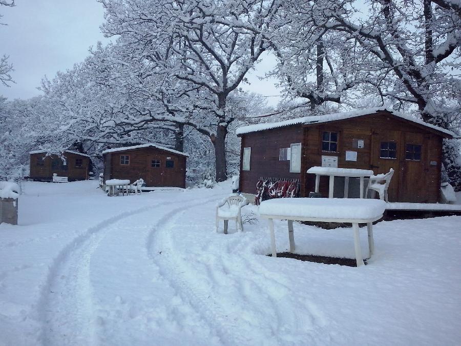 Gite equestre cheval Forcalquier dans les Alpes de Haute-Provence  photo 2