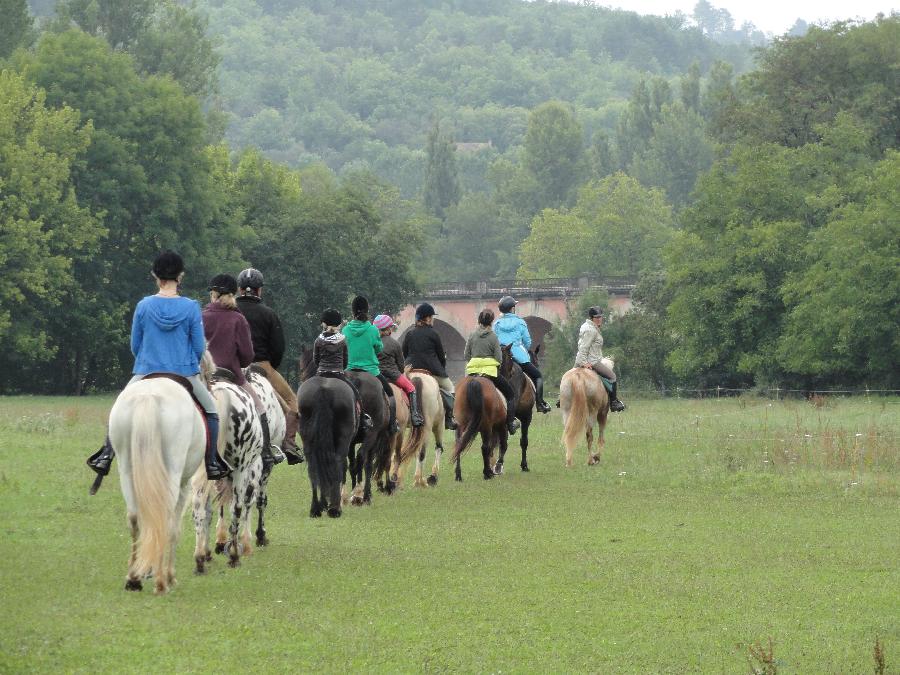 Gite equestre cheval Les Eyzies de Tayac en Dordogne  photo 6