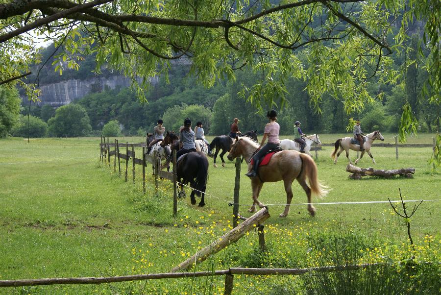 Gite equestre cheval Les Eyzies de Tayac en Dordogne  photo 6