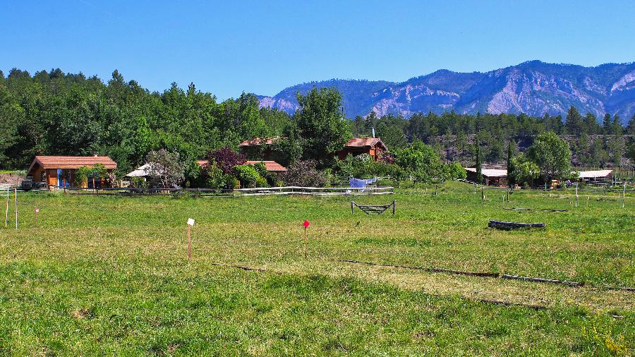 Gite equestre cheval Ventavon dans les Hautes-Alpes 