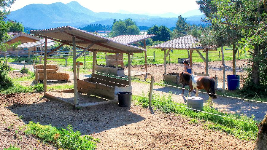 Gite equestre cheval Ventavon dans les Hautes-Alpes  photo 2