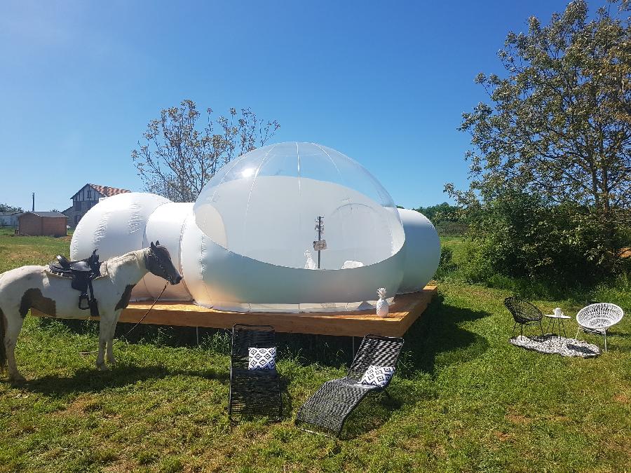 Gite equestre cheval Lanouaille en Dordogne 