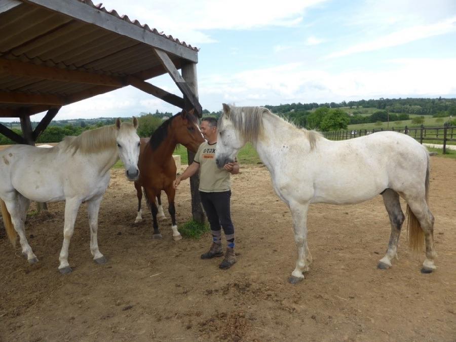 Gite equestre cheval Lanouaille en Dordogne  photo 4