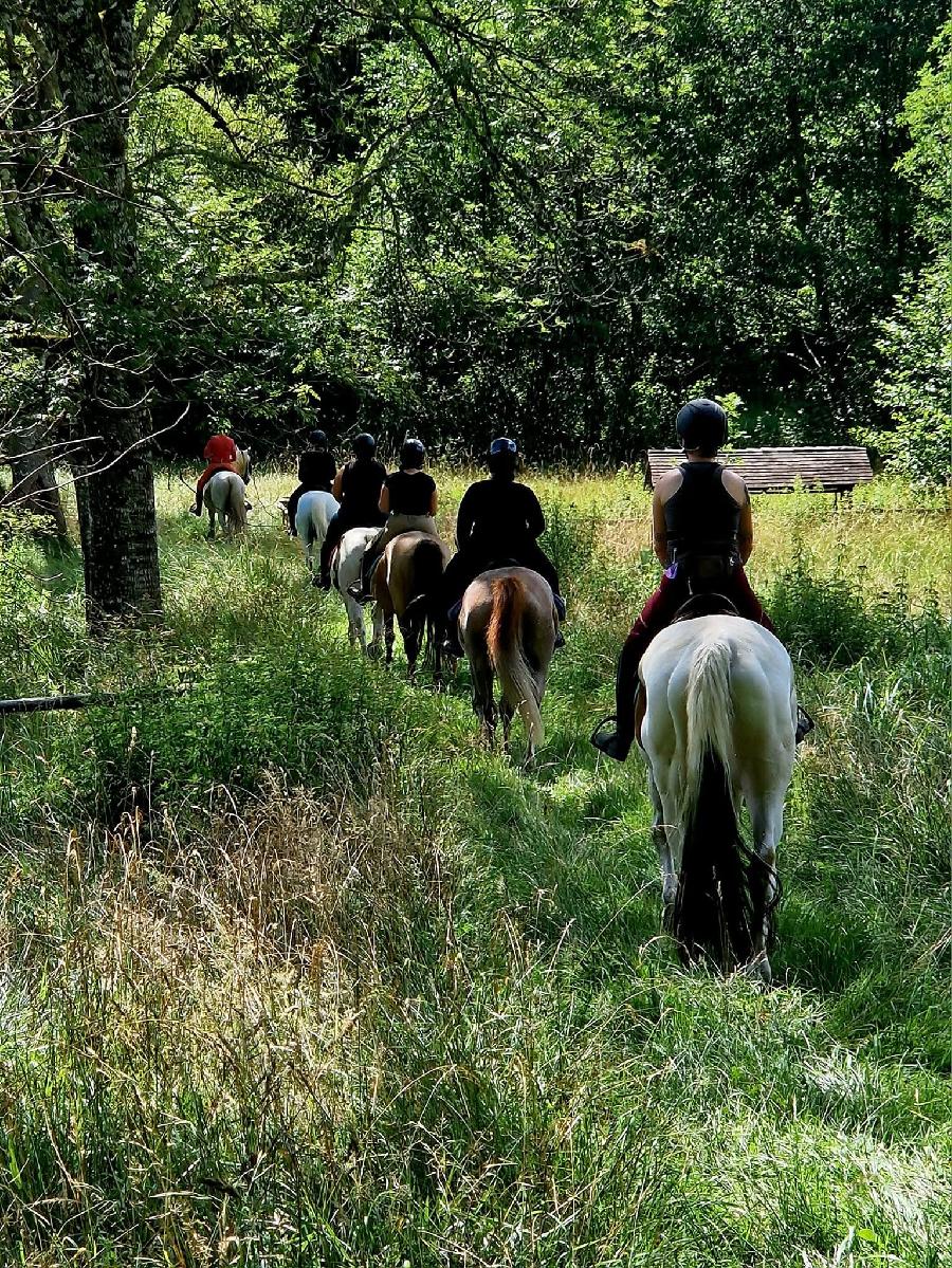 gite equestre Moulis-en-Mdoc Gironde Le Ranch des Lamberts