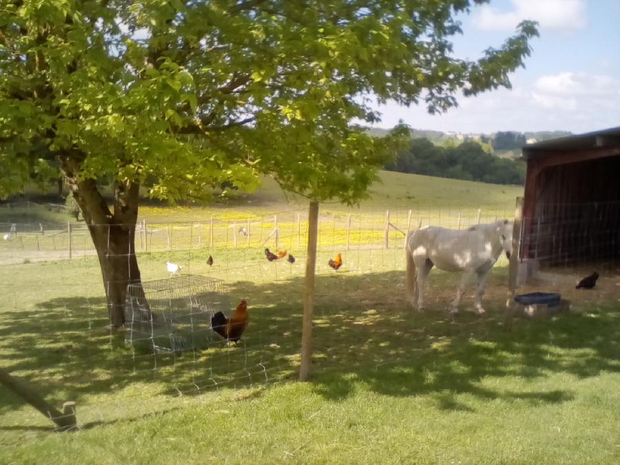 gite equestre Bors de Montmoreau Charente curies des Chnes