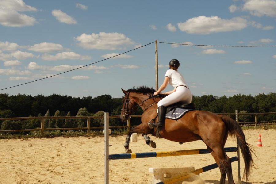 Gite equestre cheval Bors de Montmoreau en Charente  photo 4