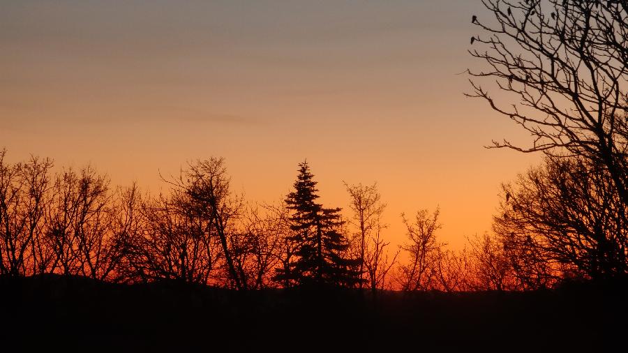 Gite equestre cheval Blandas dans le Gard  photo 3