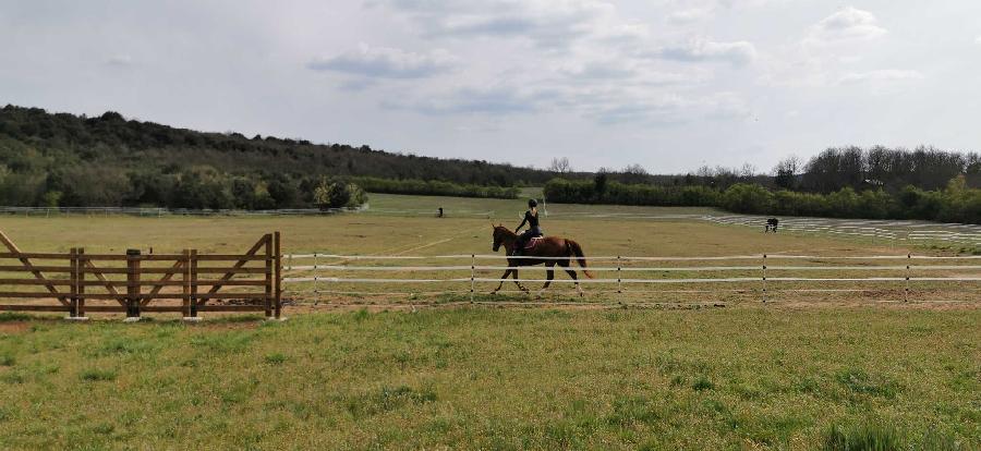 Gite equestre cheval Salavas en Ardche  photo 6