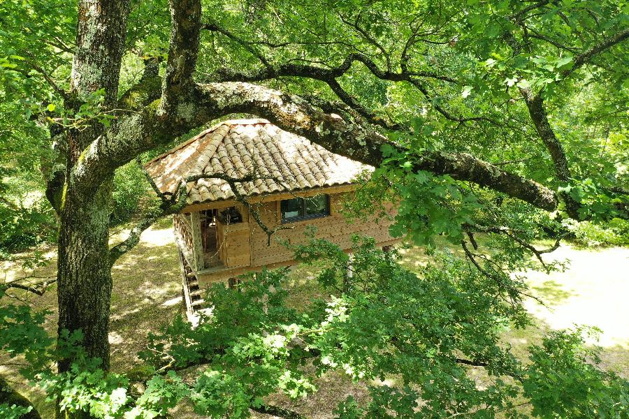 gite equestre Thzac Charente-Maritime curie des Grands Bois