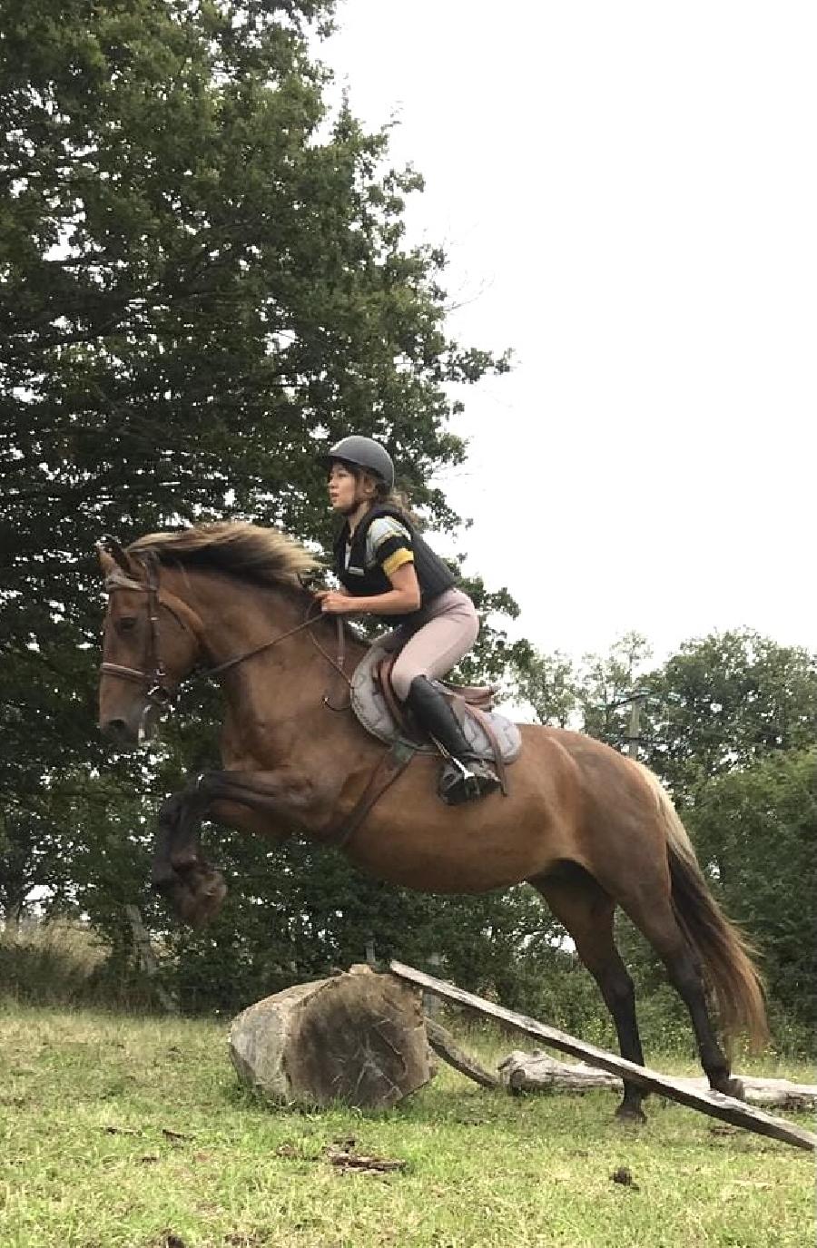 Gite equestre cheval Domeyrot dans la Creuse  photo 6