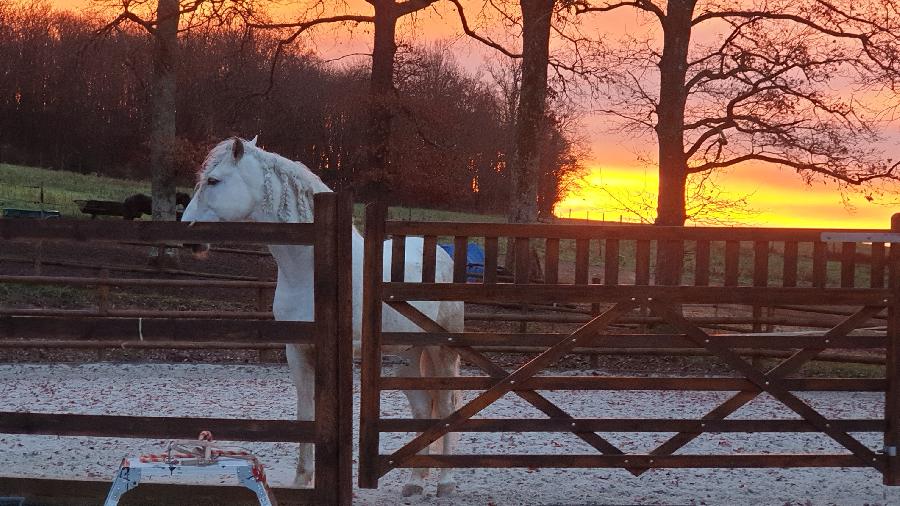 Gite equestre cheval Baneuil en Dordogne 