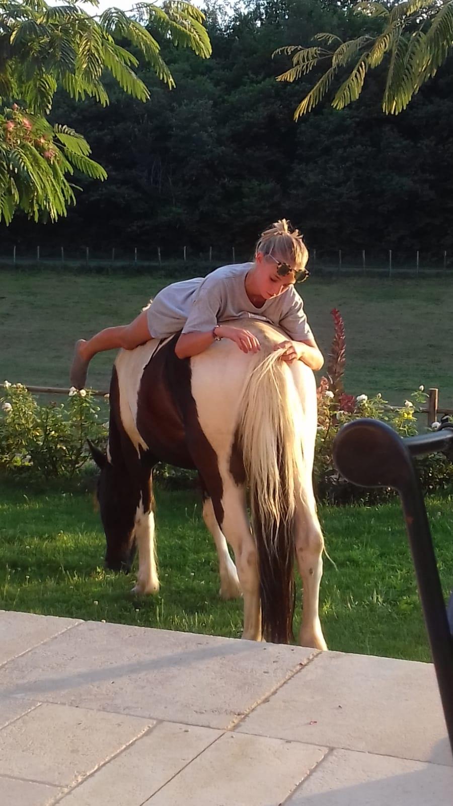 Gite equestre cheval Baneuil en Dordogne  photo 3