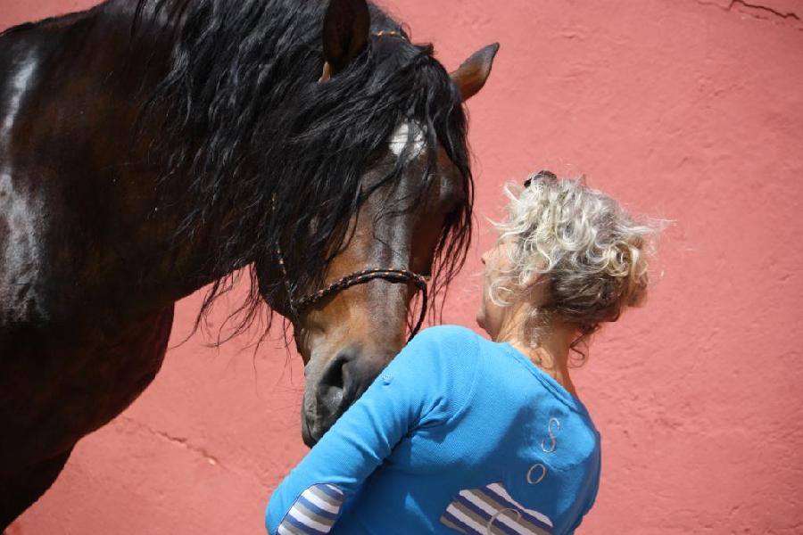 Gite equestre cheval Baneuil en Dordogne  photo 4