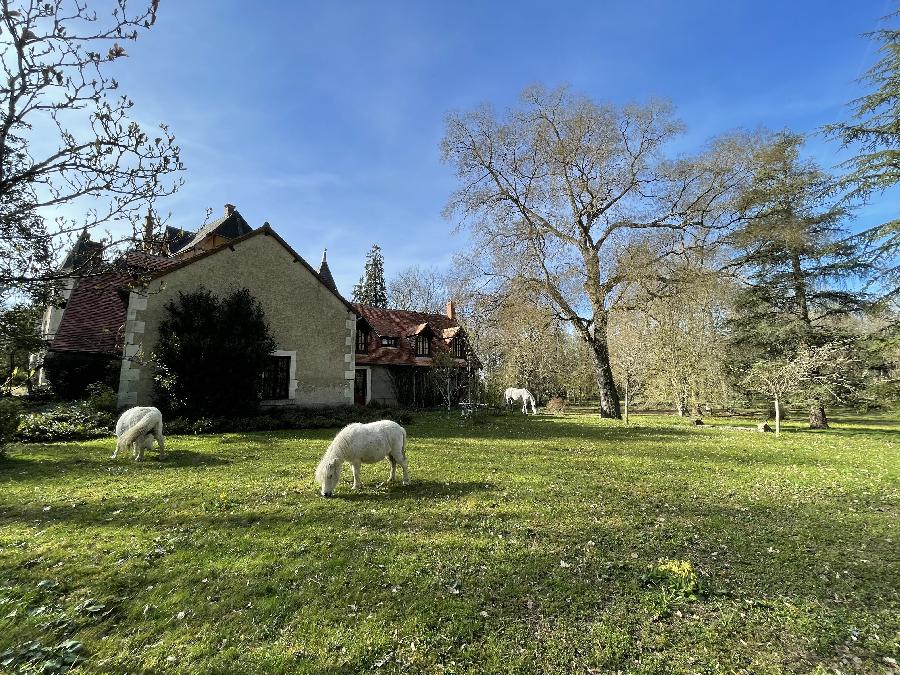 gite equestre Meunet-Planches Indre Parc de Lesseps