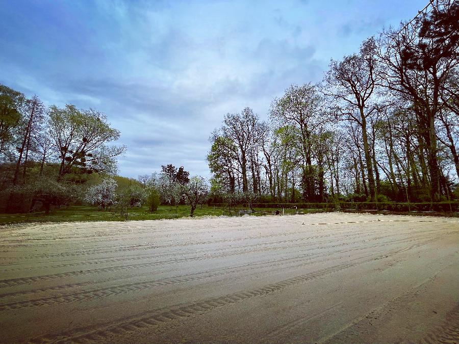 Gite equestre cheval Meunet-Planches dans l'Indre  photo 3