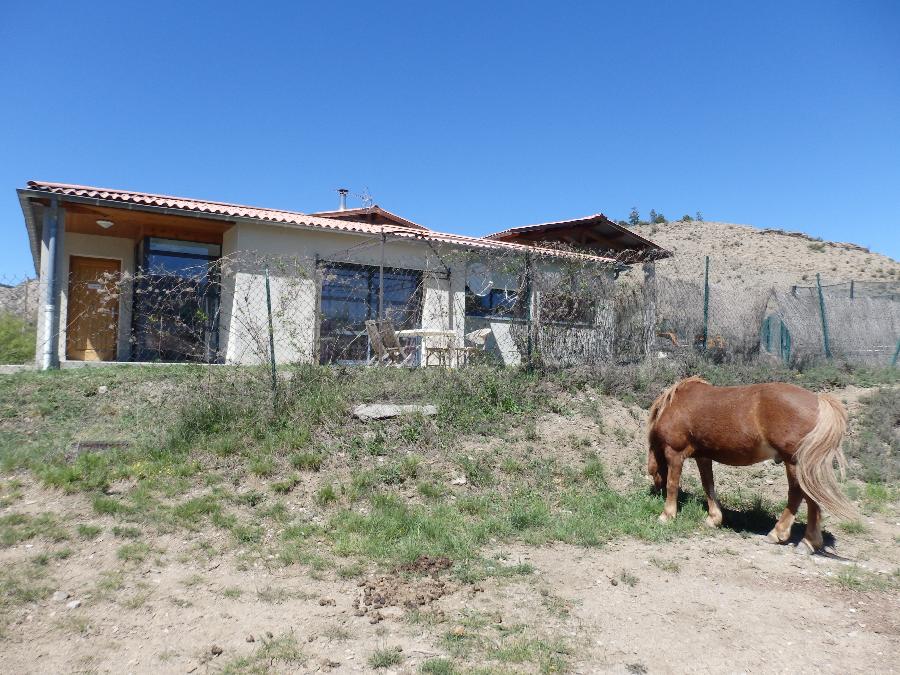 Gite equestre cheval Savournon dans les Hautes-Alpes  photo 2