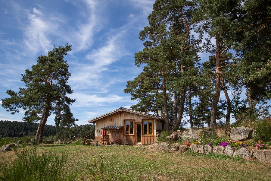 Gite equestre cheval Montregard en Haute-Loire 