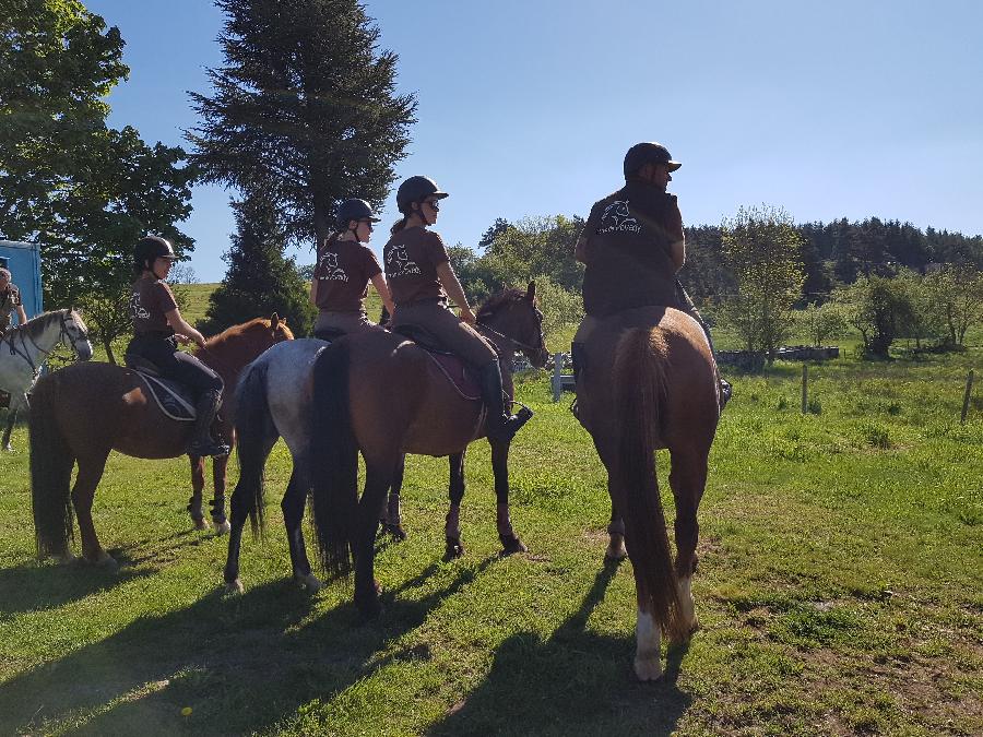Gite equestre cheval Montregard en Haute-Loire  photo 4