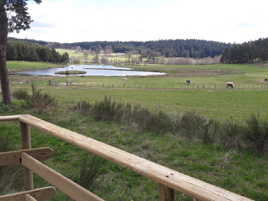 Gite equestre cheval Montregard en Haute-Loire 