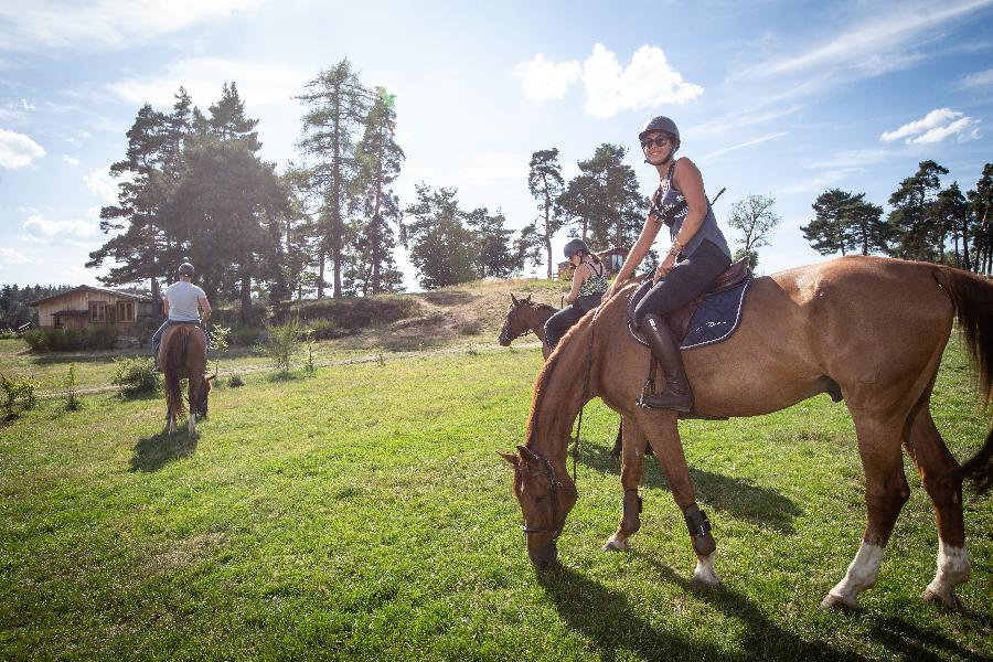 Gite equestre cheval Montregard en Haute-Loire  photo 3