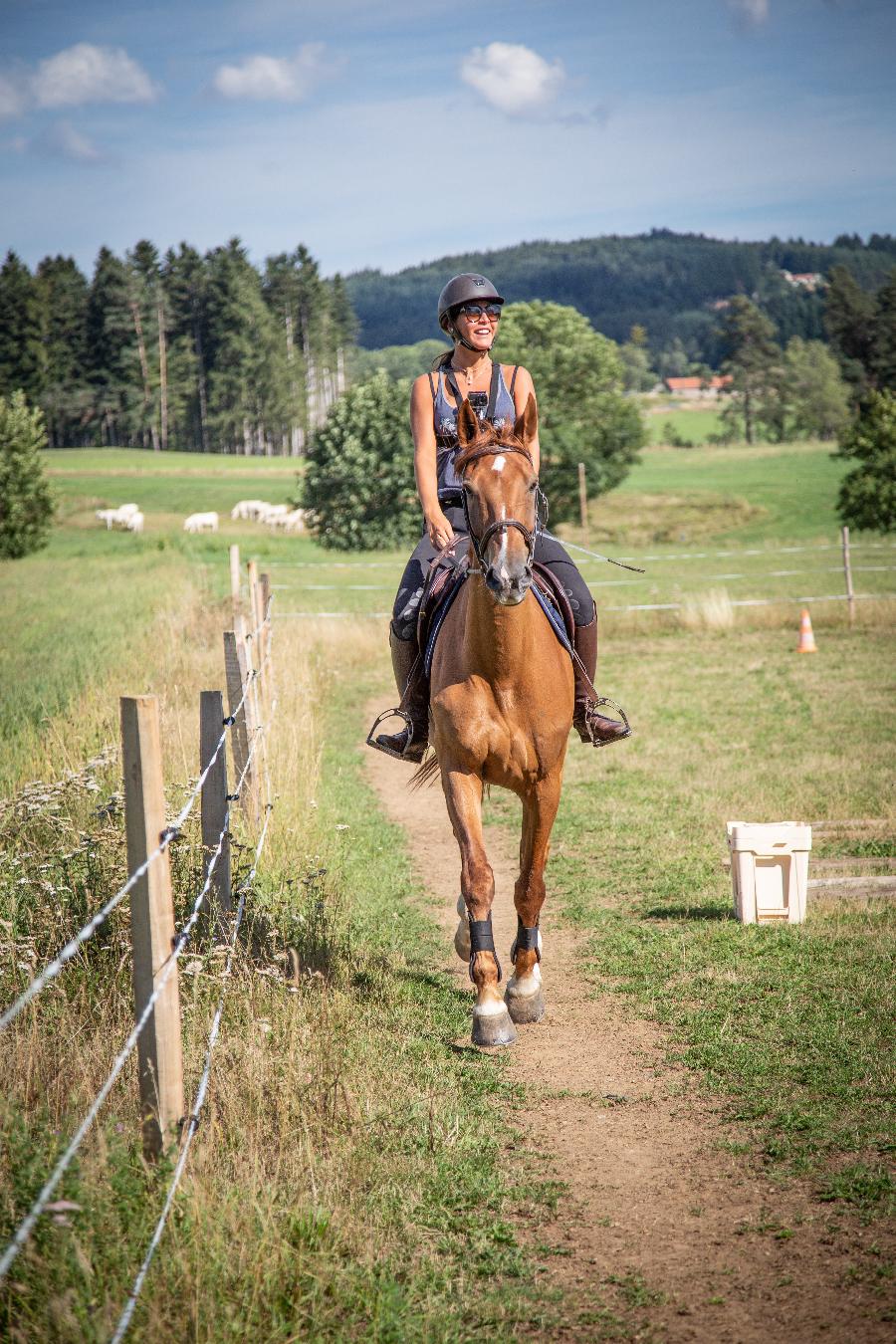 Gite equestre cheval Montregard en Haute-Loire  photo 4