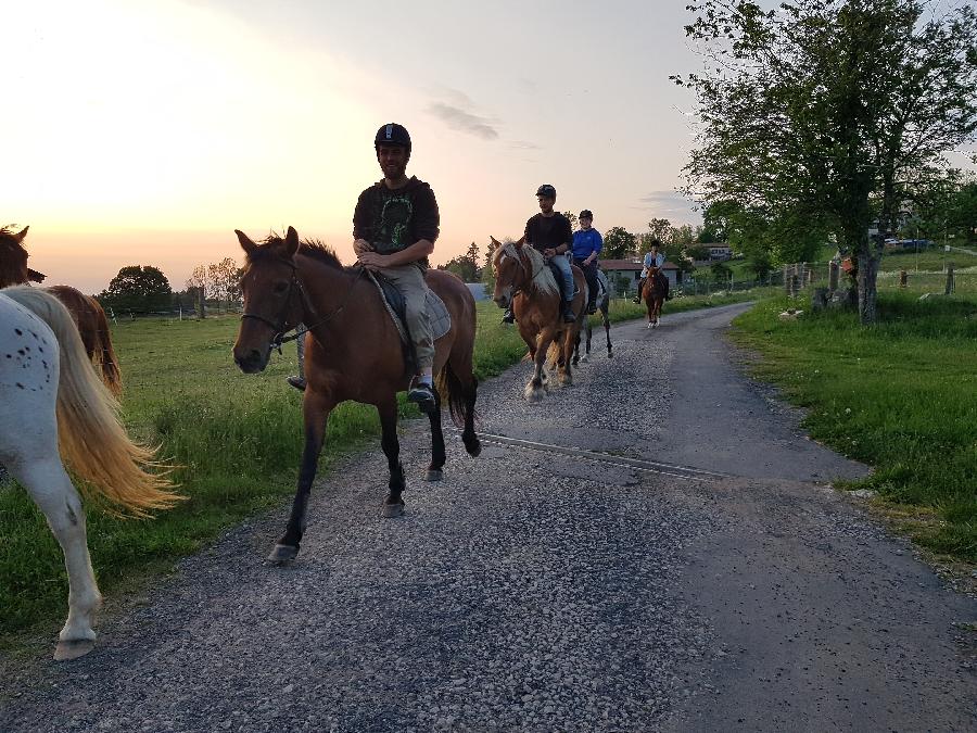 Gite equestre cheval Montregard en Haute-Loire 