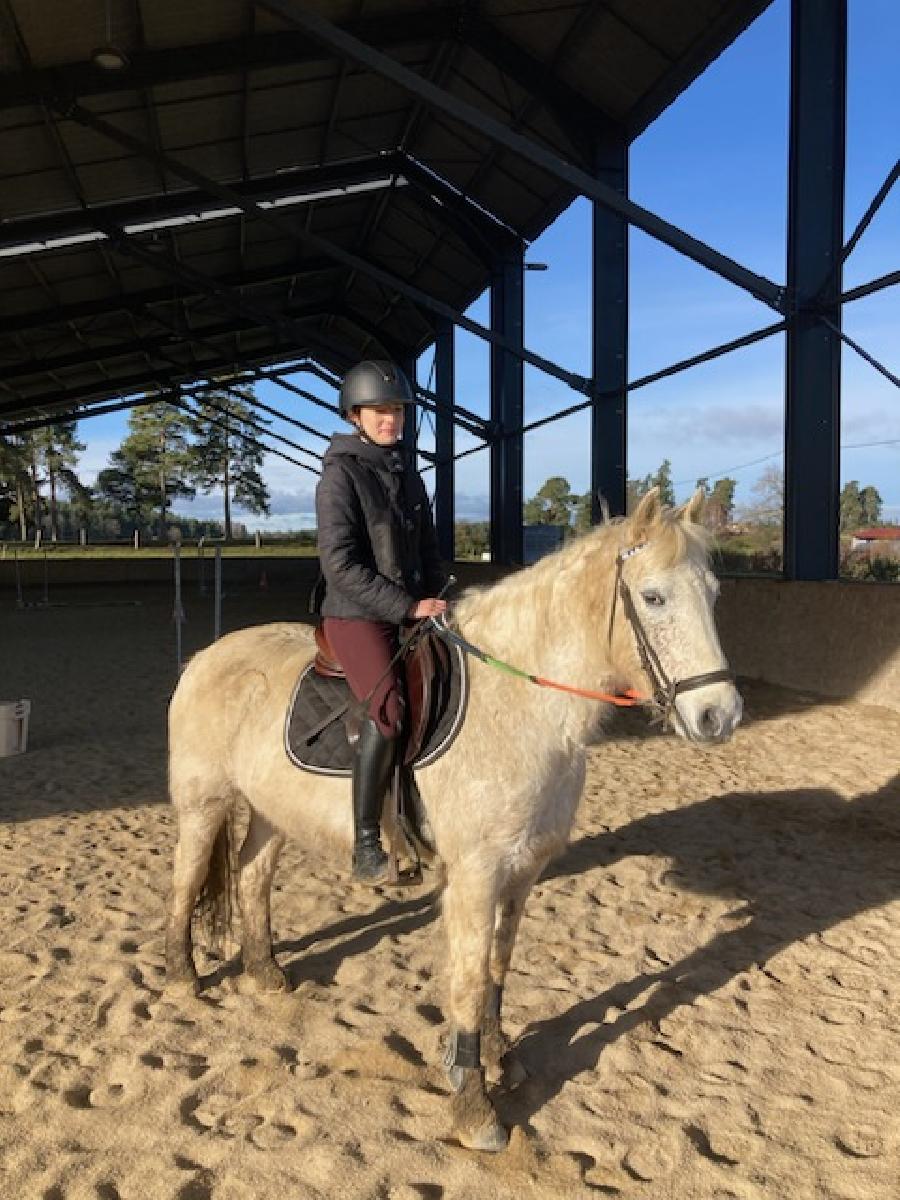 Gite equestre cheval Montregard en Haute-Loire  photo 2