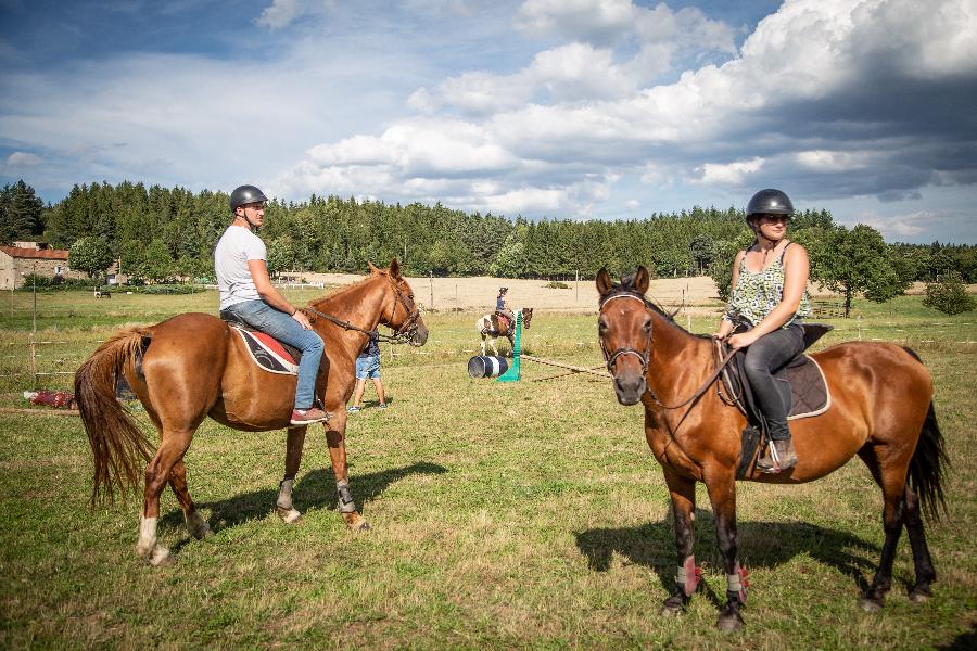 Gite equestre cheval Montregard en Haute-Loire  photo 4