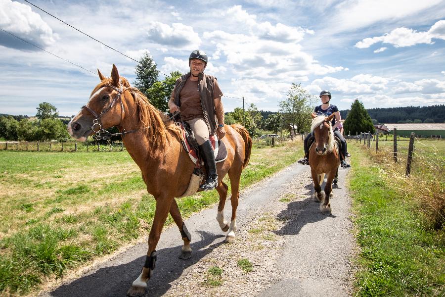Gite equestre cheval Montregard en Haute-Loire  photo 5