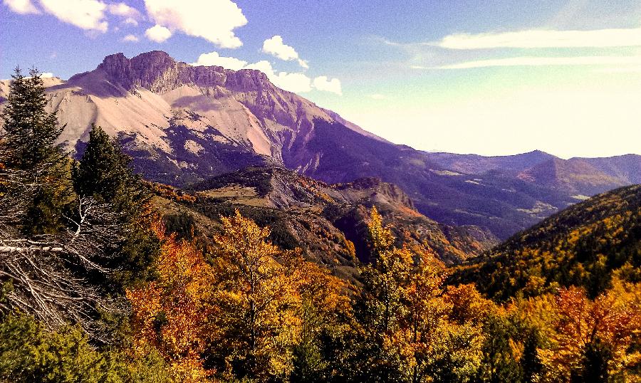 Gite equestre cheval La Roche des Arnauds dans les Hautes-Alpes  photo 5