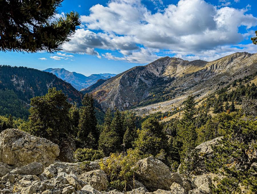 Gite equestre cheval La Roche des Arnauds dans les Hautes-Alpes  photo 6
