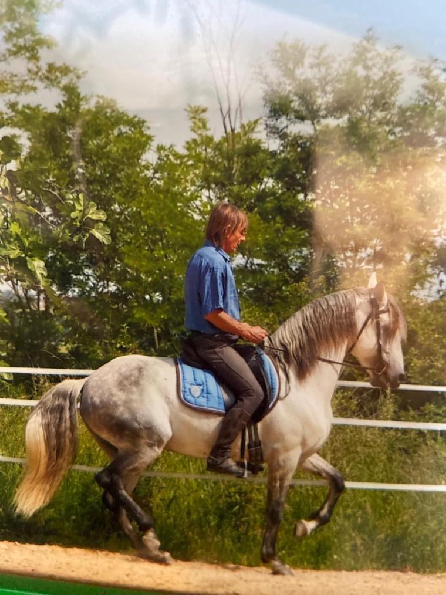 Gite equestre cheval Orliac en Dordogne  photo 3