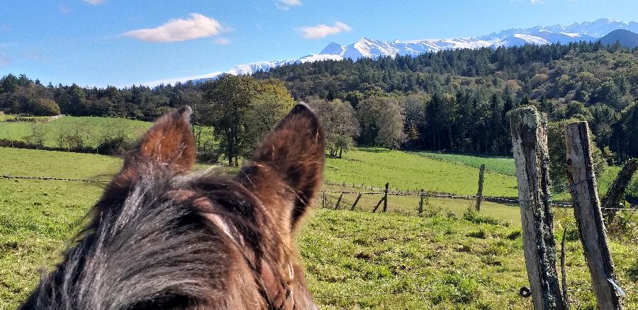 Gite equestre cheval Saint-Vincent dans les Pyrnes-Atlantiques  photo 3