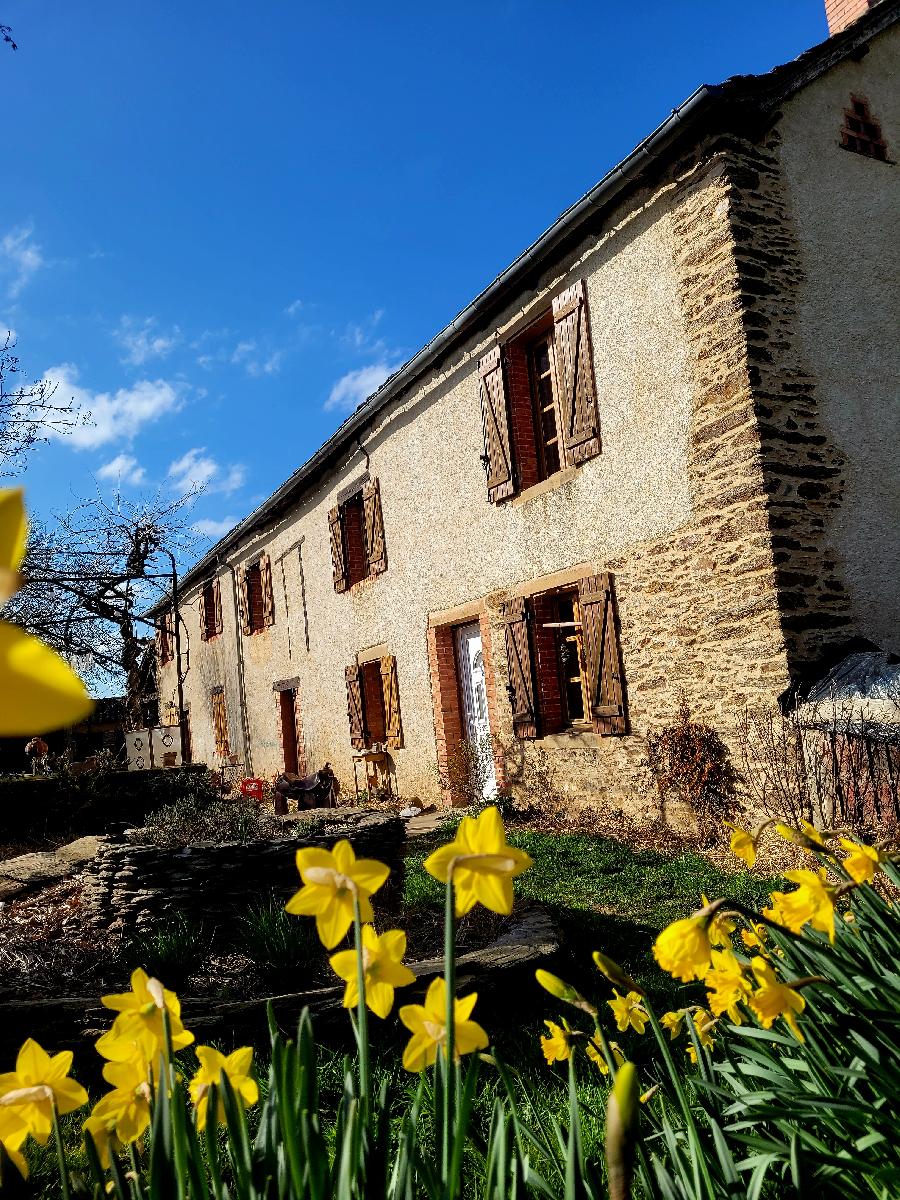 gite equestre Pampelonne Tarn La Ferme des Grandes Oreilles