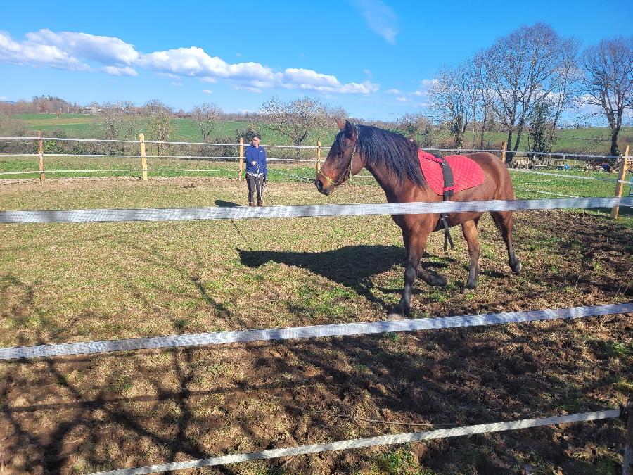 Gite equestre cheval Pampelonne dans le Tarn  photo 6
