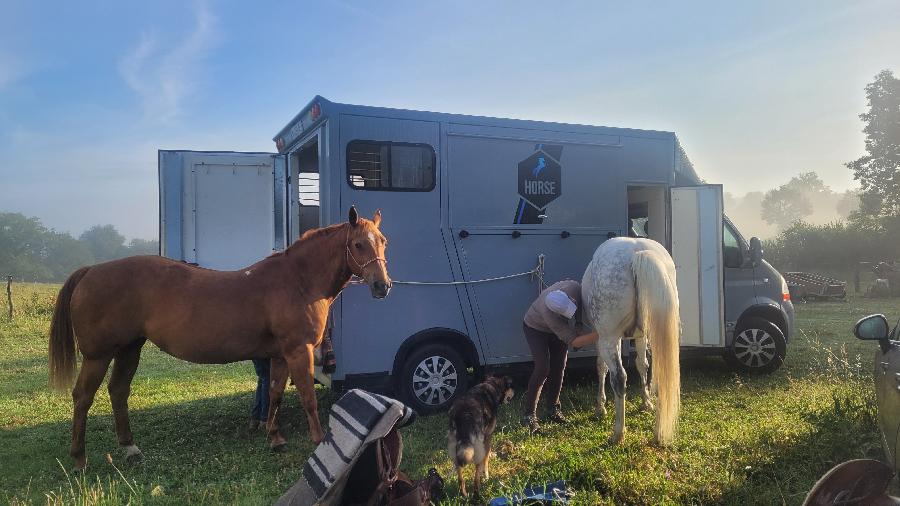 Gite equestre cheval Pampelonne dans le Tarn 