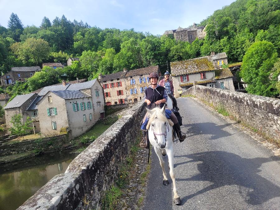 Gite equestre cheval Pampelonne dans le Tarn  photo 4