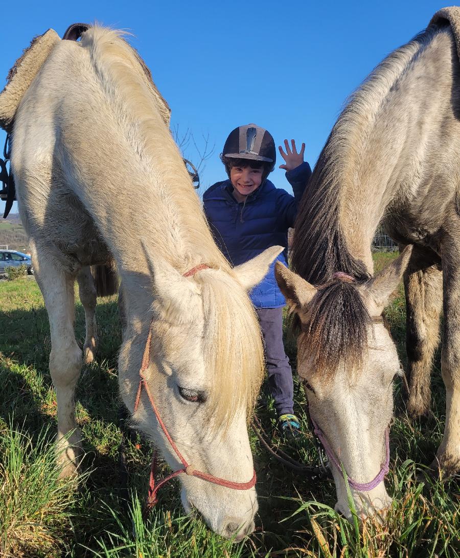 Gite equestre cheval Pampelonne dans le Tarn  photo 5