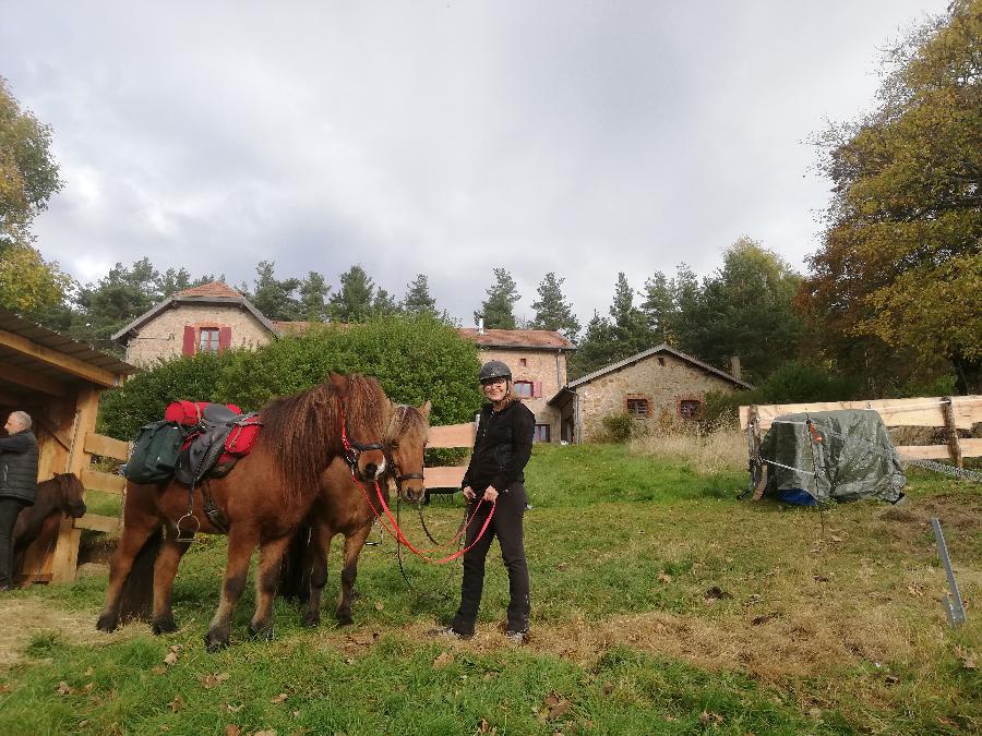 Gite equestre cheval Lalouvesc en Ardche  photo 4