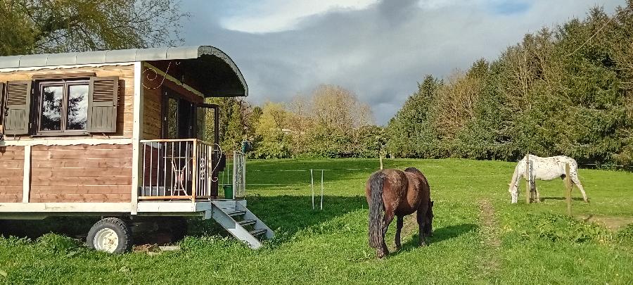 Gite equestre cheval Les Cammazes dans le Tarn  photo 6