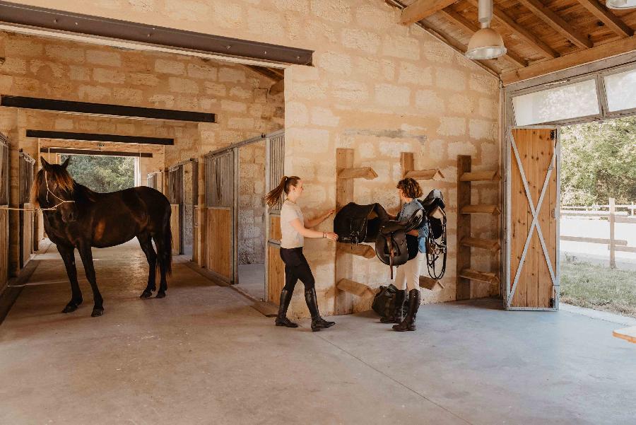 Gite equestre cheval Naujac-sur-Mer en Gironde  photo 2