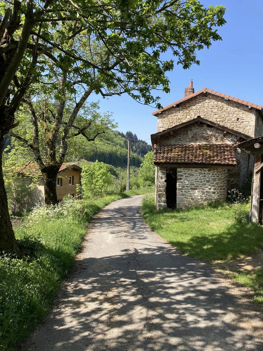 Gite equestre cheval Paslires dans le Puy-de-dme  photo 2