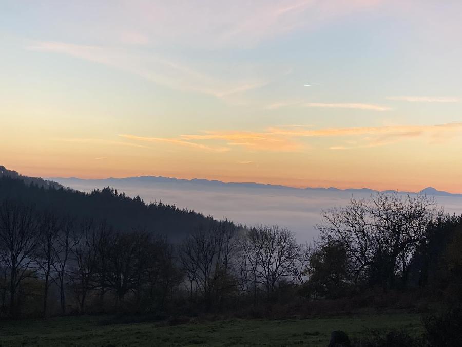 Gite equestre cheval Paslires dans le Puy-de-dme  photo 6