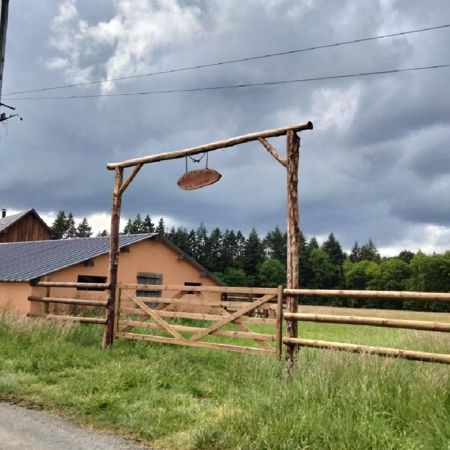 Gite equestre cheval Challes dans la Sarthe  photo 2