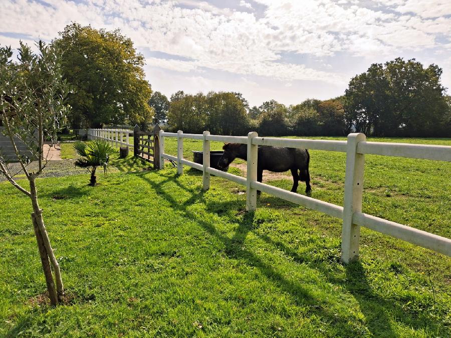 gite equestre Hric Loire-Atlantique La Confiance