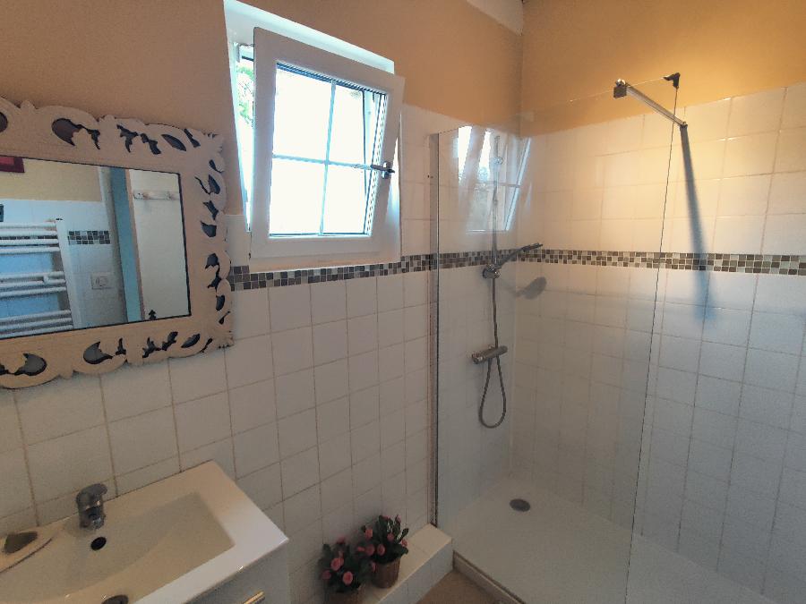 Gite equestre cheval Savignac-de-Miremont en Dordogne  photo 5